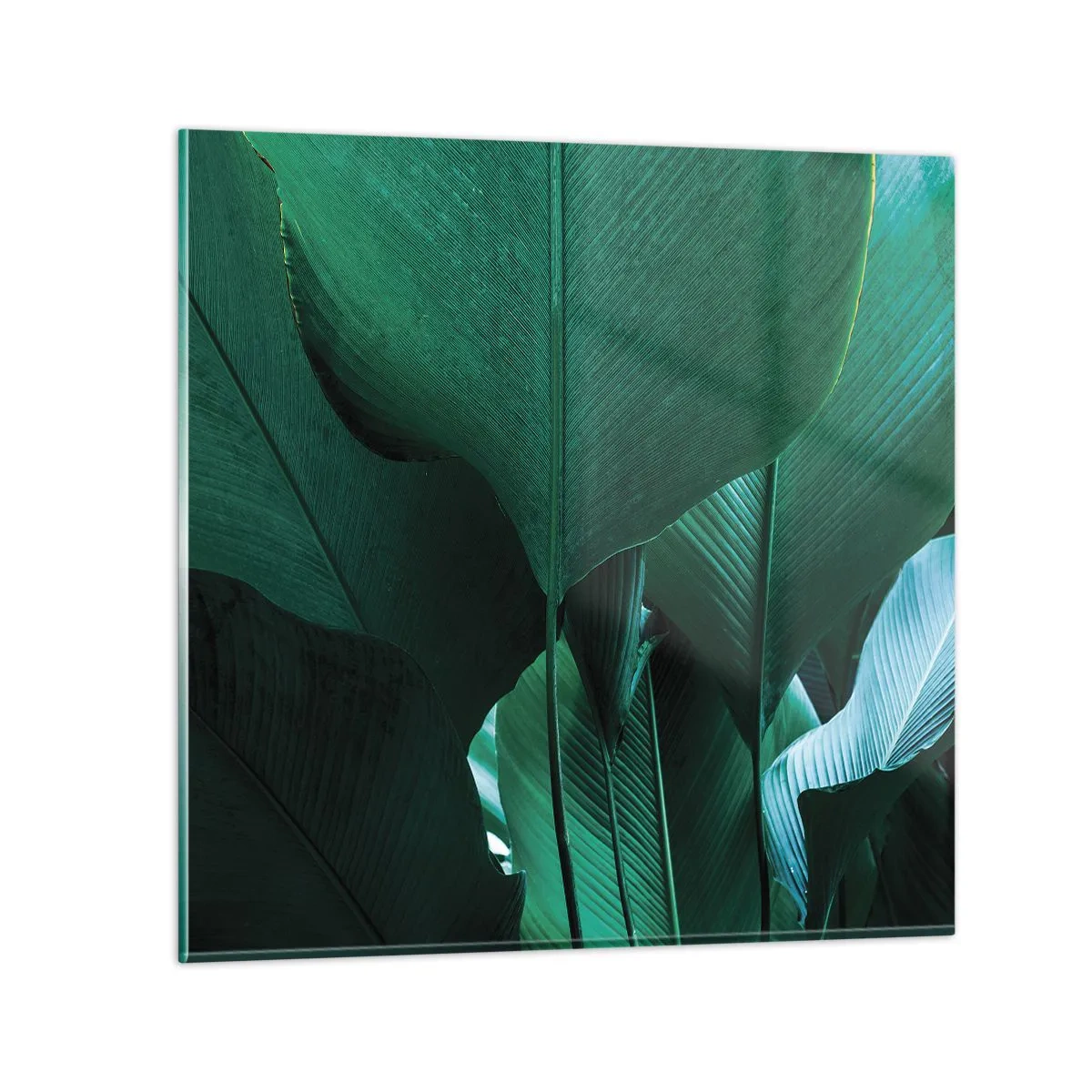 Tablou pe sticlă - Cu frunza la lumină - 70x70 cm