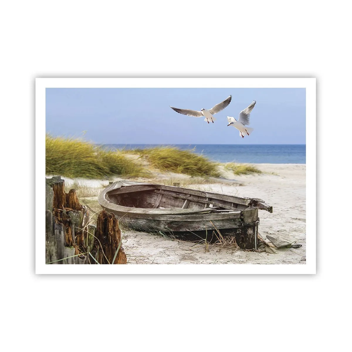 Poster - Scăldate în vânt - 100x70 cm