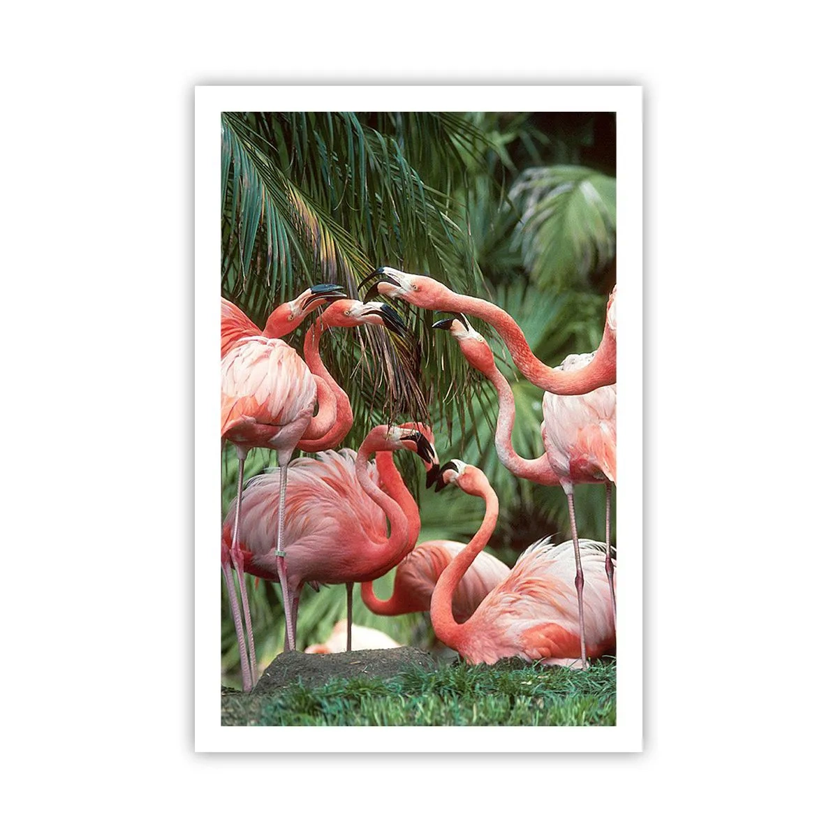 Poster - Bârfa de după-amiază - 61x91 cm