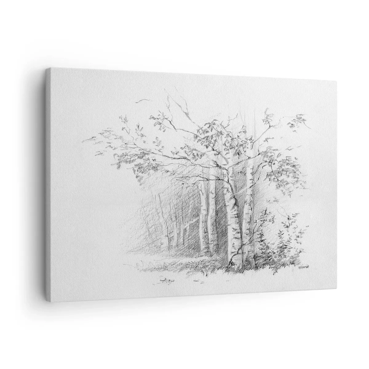 Tablou pe pânză Canvas - Un desen al unei păduri de mesteacăn într-o schiță subtilă în creion - 70x50cm - Lumina pădurii de mesteceni - Decorațiune modernă pentru perete pentru living și dormitor ARTTOR