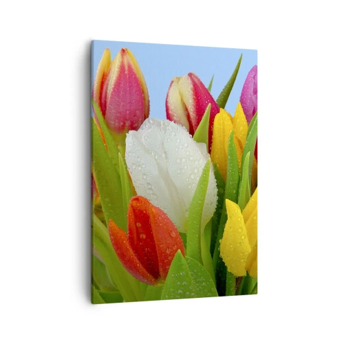 Tablou pe pânză - Un curcubeu floral în picături de rouă - 50x70 cm