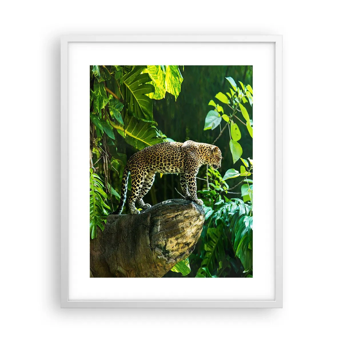 Poster în ramă albă - La vânătoare? - 40x50 cm