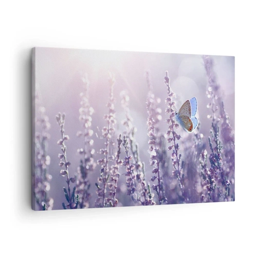 Tablou pe pânză Canvas - Un fluture pe lavanda înflorită în lumina dimineții - 70x50cm - Sărut de fluture - Decorațiune modernă pentru perete pentru living și dormitor ARTTOR