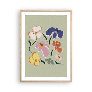 Poster în ramă de stejar deschis - Panseluțe colorate - 50x70 cm