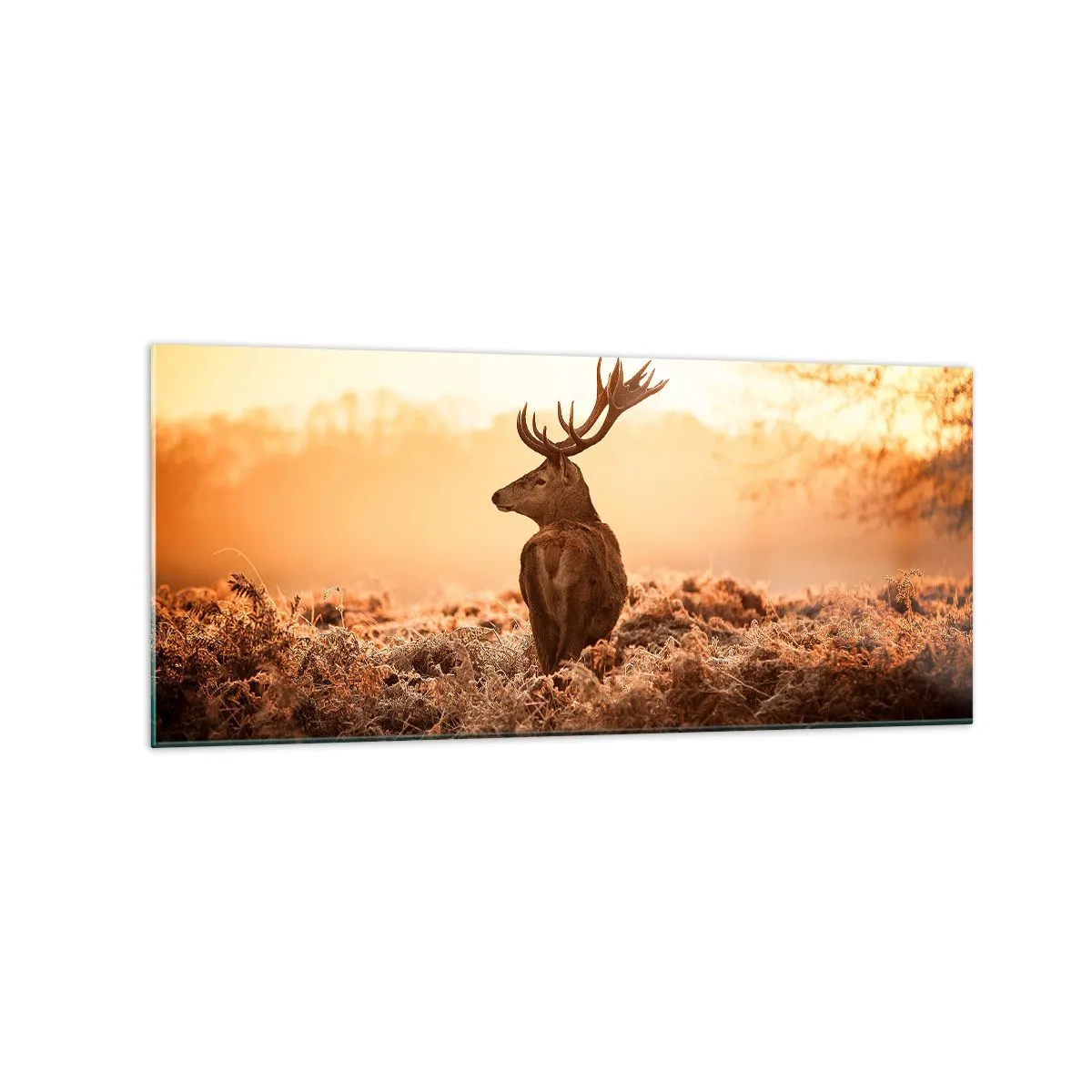 Tablou pe sticlă - Stăpânul conacului - 120x50 cm