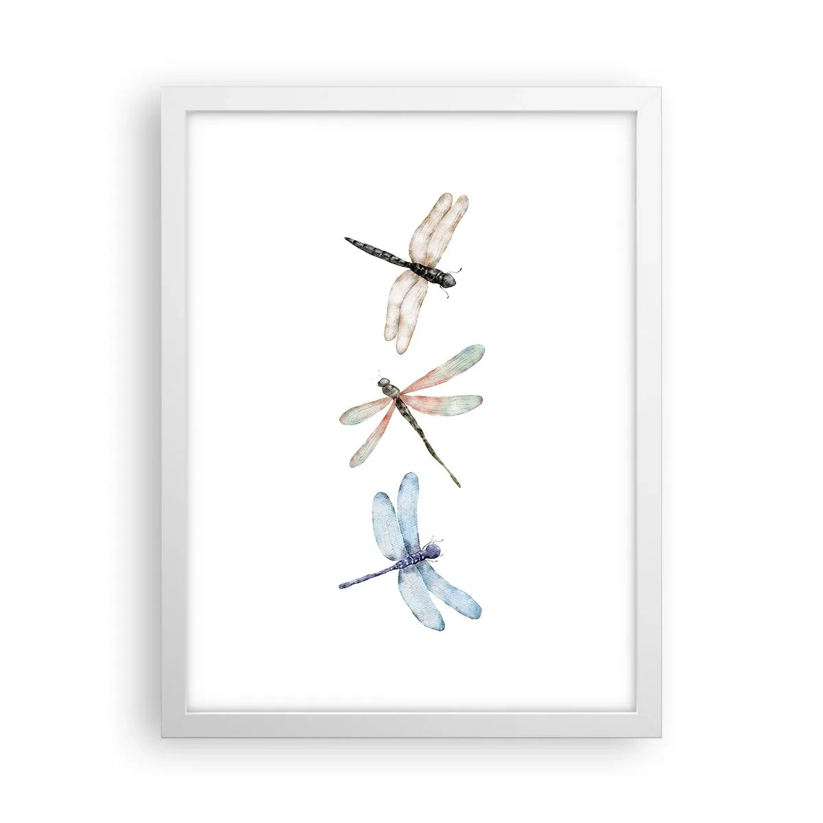 Poster în ramă albă - Libelule imponderabile - 30x40 cm