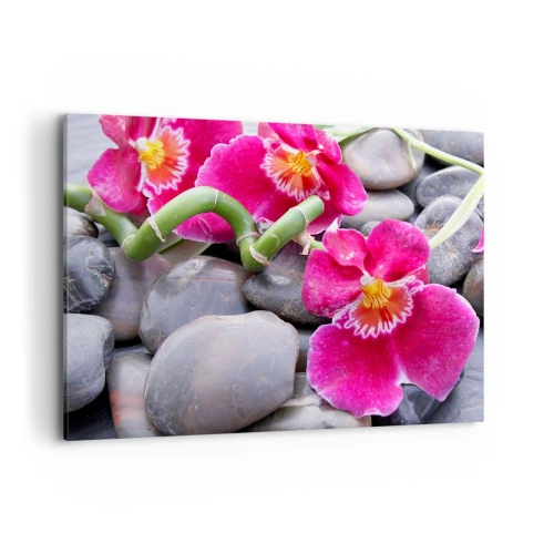 Tablou pe pânză - Frig și căldură - 100x70 cm