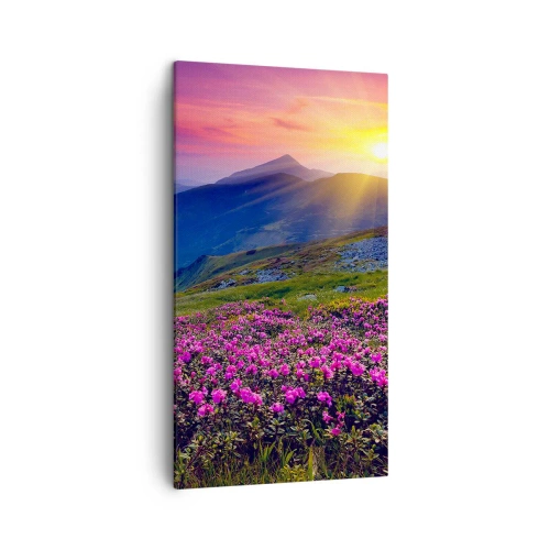 Tablou pe pânză - ... Și peste tot în jur se simte un miros de jneapăn și parfum de ierburi... - 45x80 cm