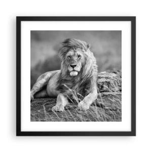 Poster în ramă neagră - Siesta regală - 40x40 cm