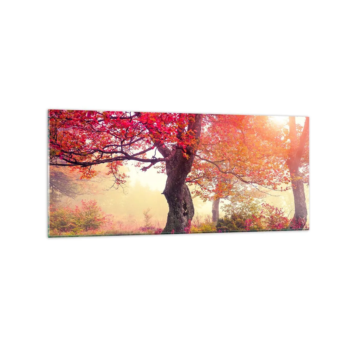 Tablou pe sticlă - O frenezie de înflorire - 120x50 cm