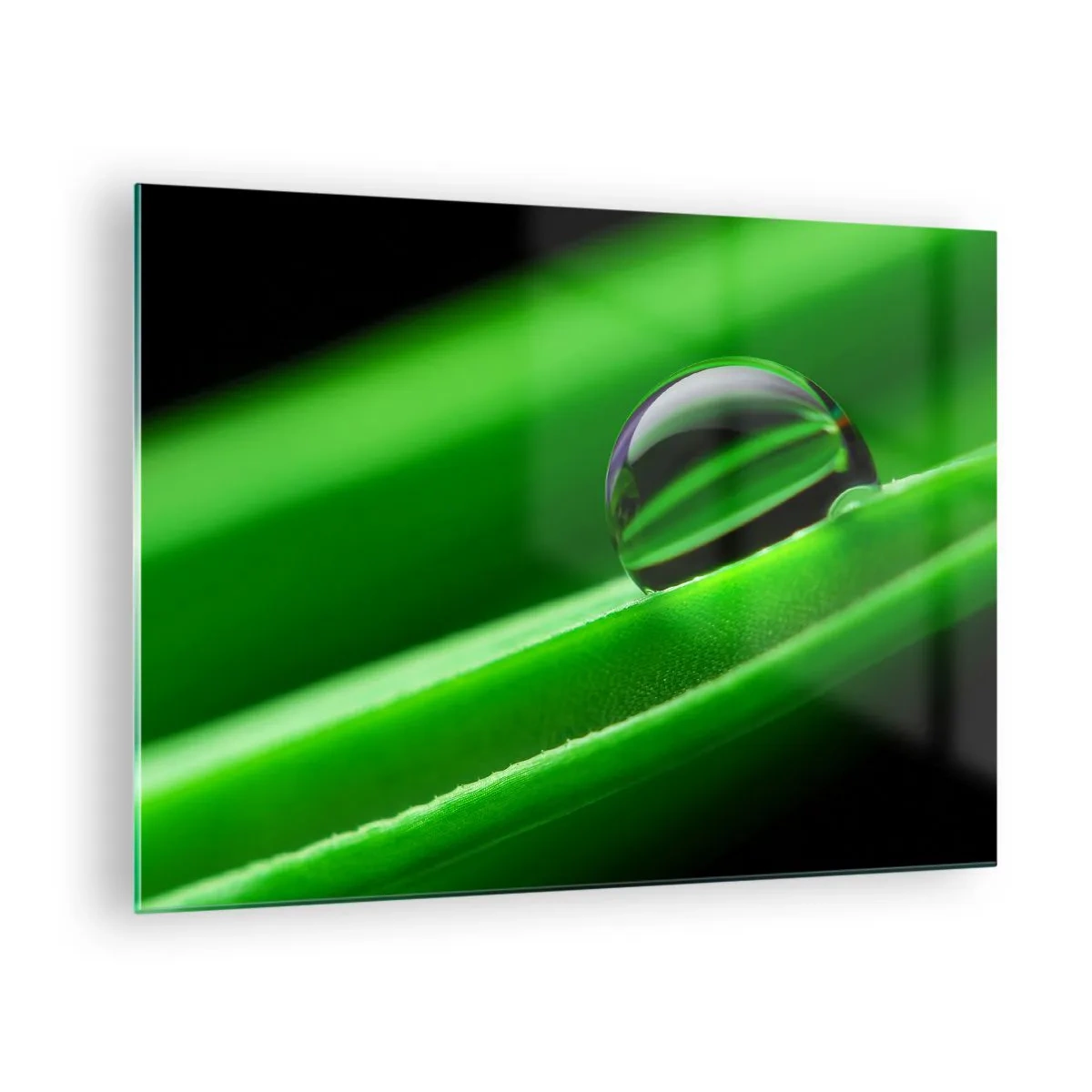 Tablou pe sticlă - O picătură de rouă pe o frunză verde - 70x50cm - Viața de aproape - Decorațiune modernă pentru perete pentru living și dormitor ARTTOR