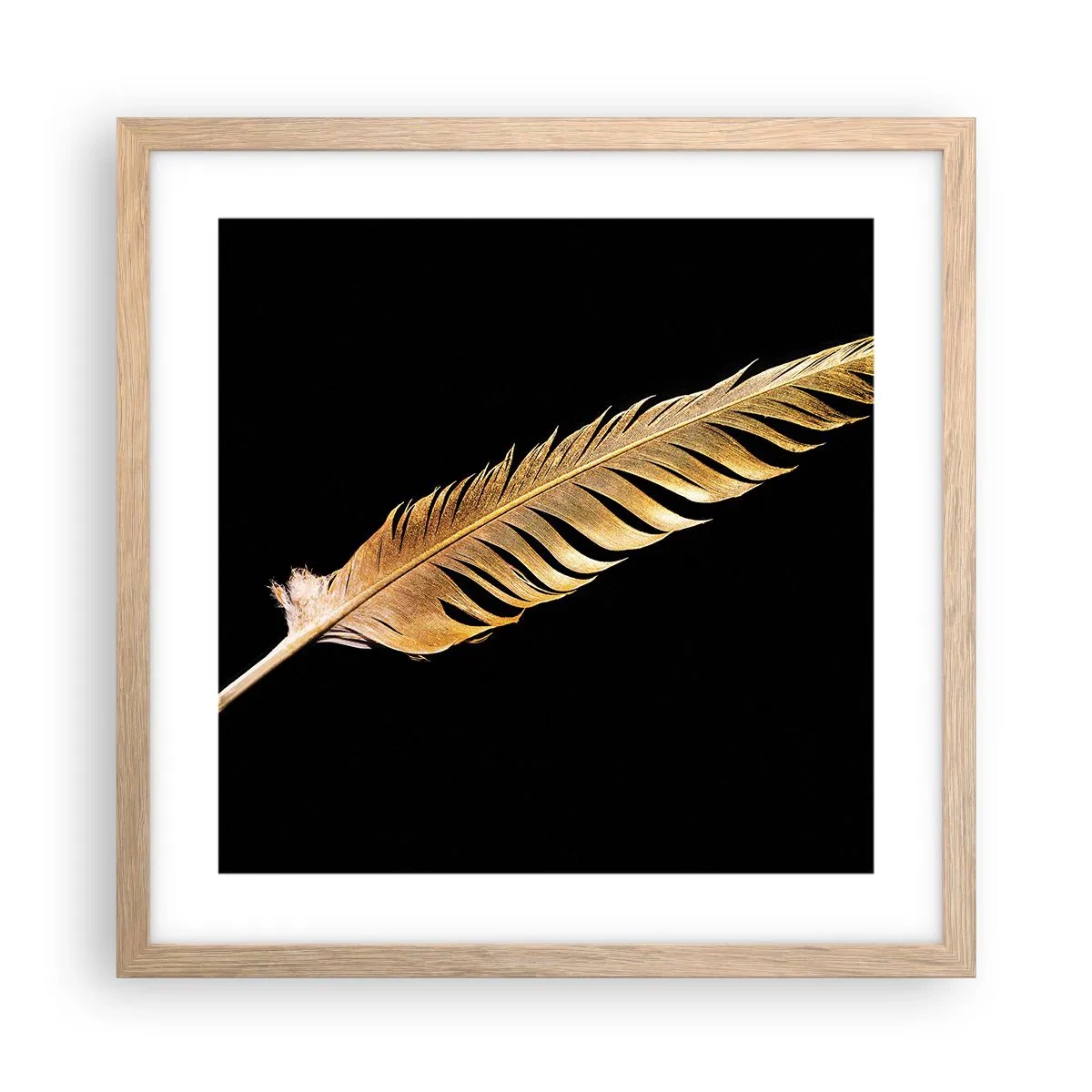 Poster în ramă de stejar deschis - Pană aurie perfectă - 40x40 cm