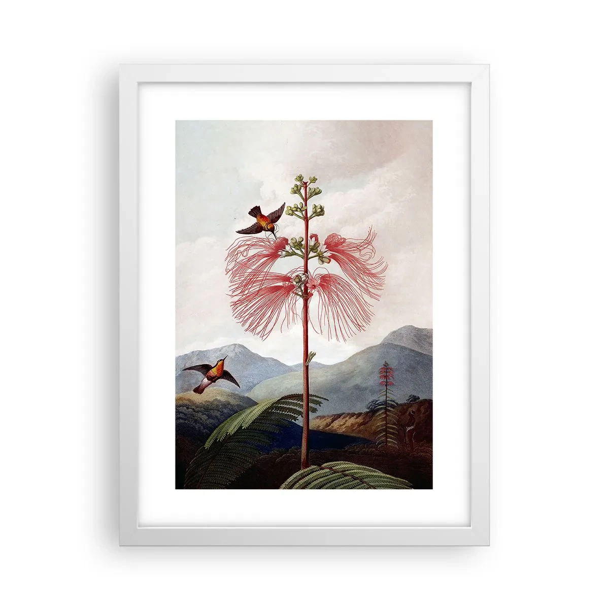 Poster în ramă albă - Într-un paradis tropical - 30x40 cm