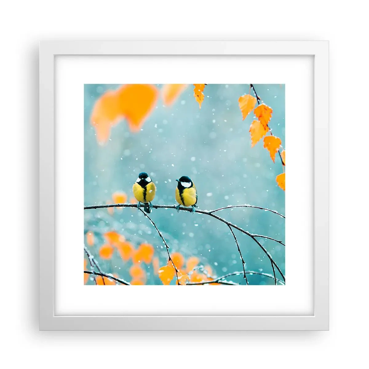Poster în ramă albă - Bârfele păsărilor - 30x30 cm