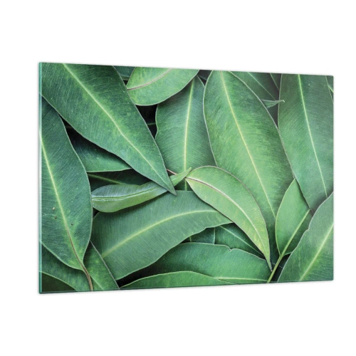 Tablou pe sticlă - Suculente și proaspete - 120x80 cm