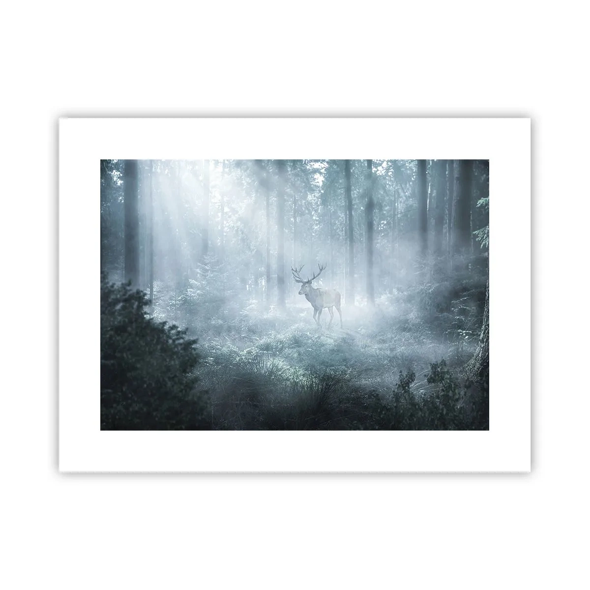 Poster - Plimbarea de dimineață prin regat - 40x30 cm