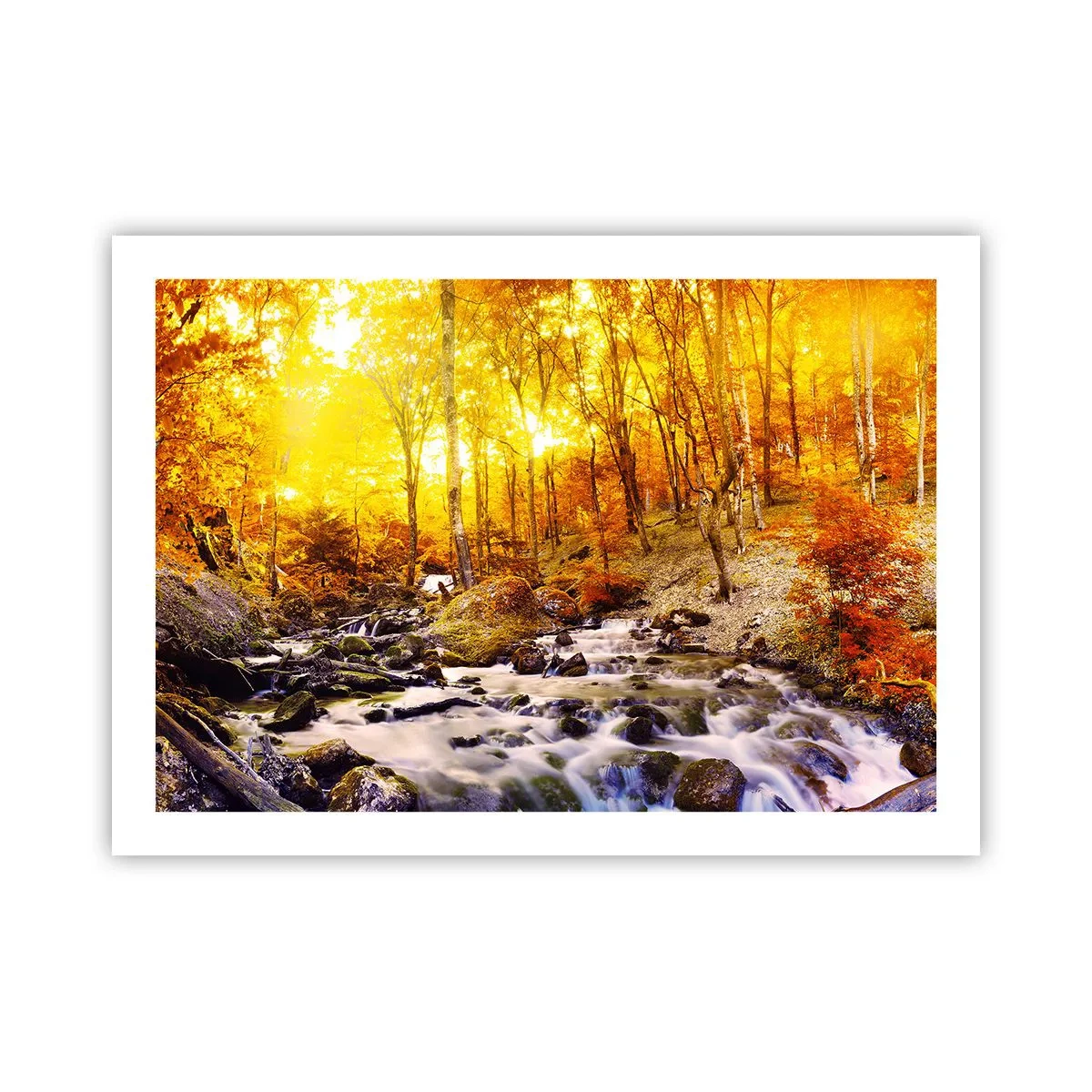 Poster - Pietre montate în aur și platină - 70x50 cm