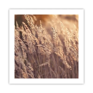 Poster - Gata să întâmpine toamna - 50x50 cm