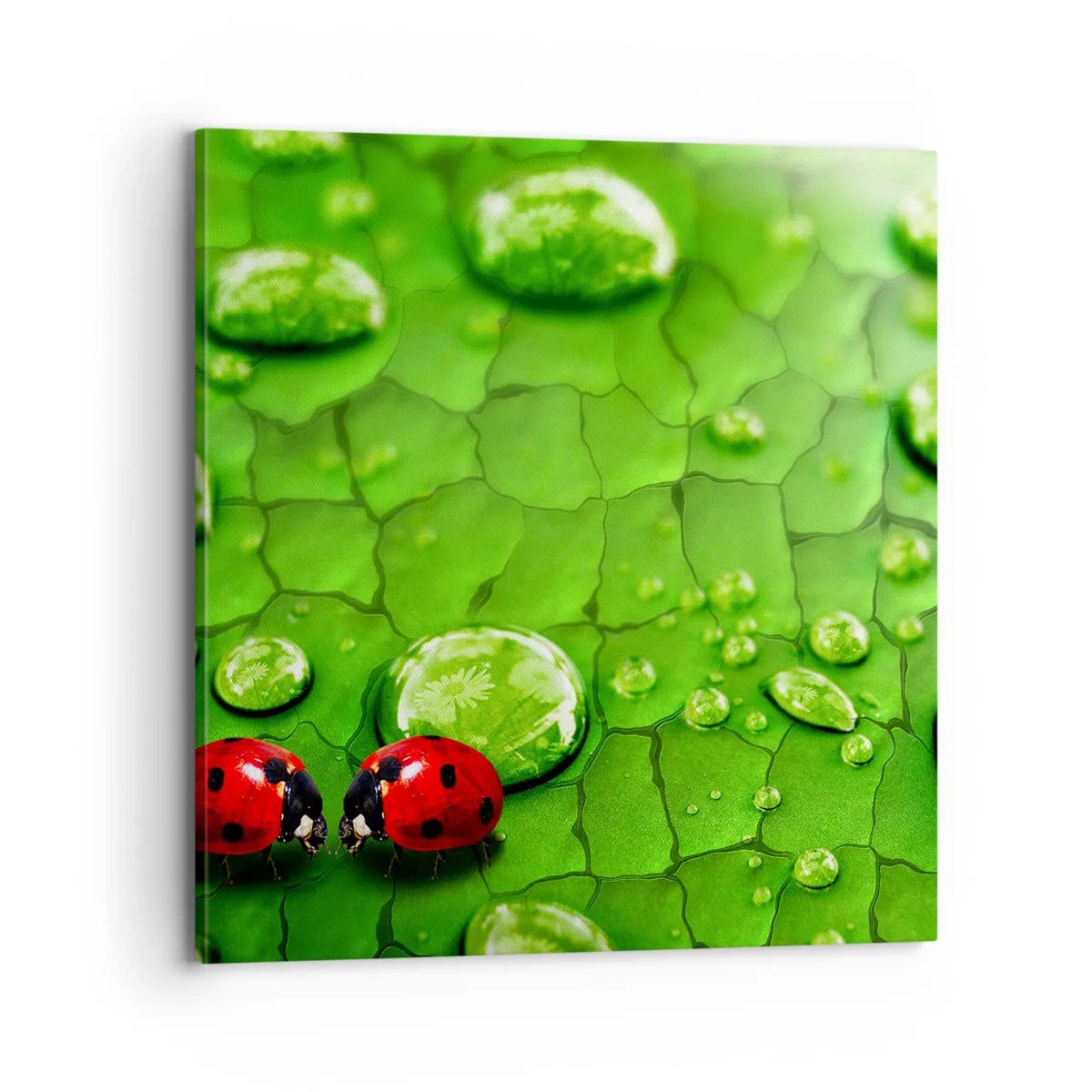 Tablou pe pânză - Întâlnire în verde - 70x70 cm