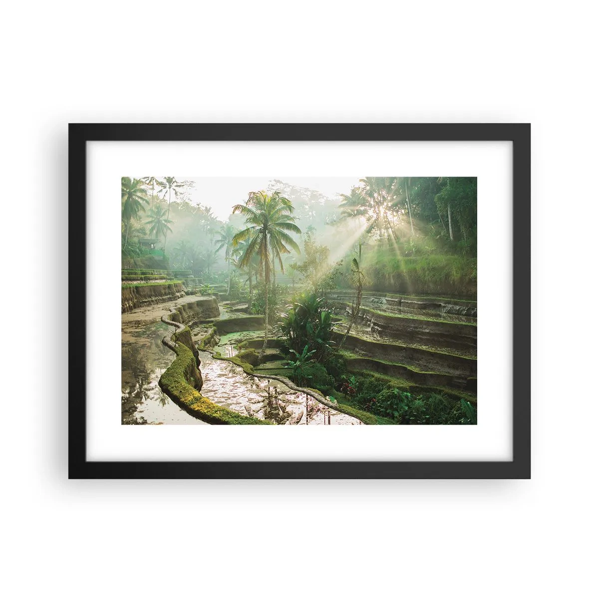 Poster în ramă neagră - Crescând la soare - 40x30 cm