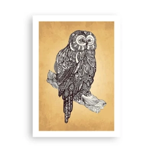 Poster - Ornamente complicate de înțelepciune - 50x70 cm