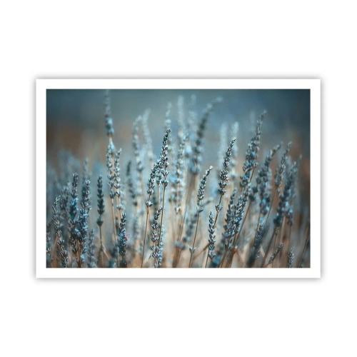 Poster - Câmpul parfumat - 100x70 cm