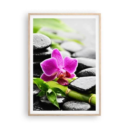 Poster în ramă de stejar deschis - Într-un echilibru pașnic - 70x100 cm