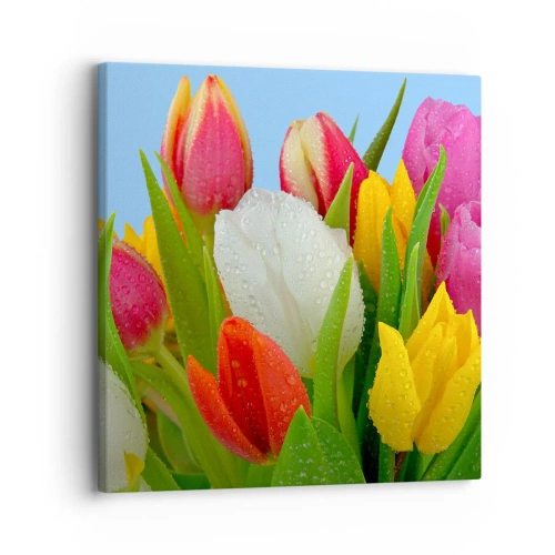Tablou pe pânză - Un curcubeu floral în picături de rouă - 30x30 cm