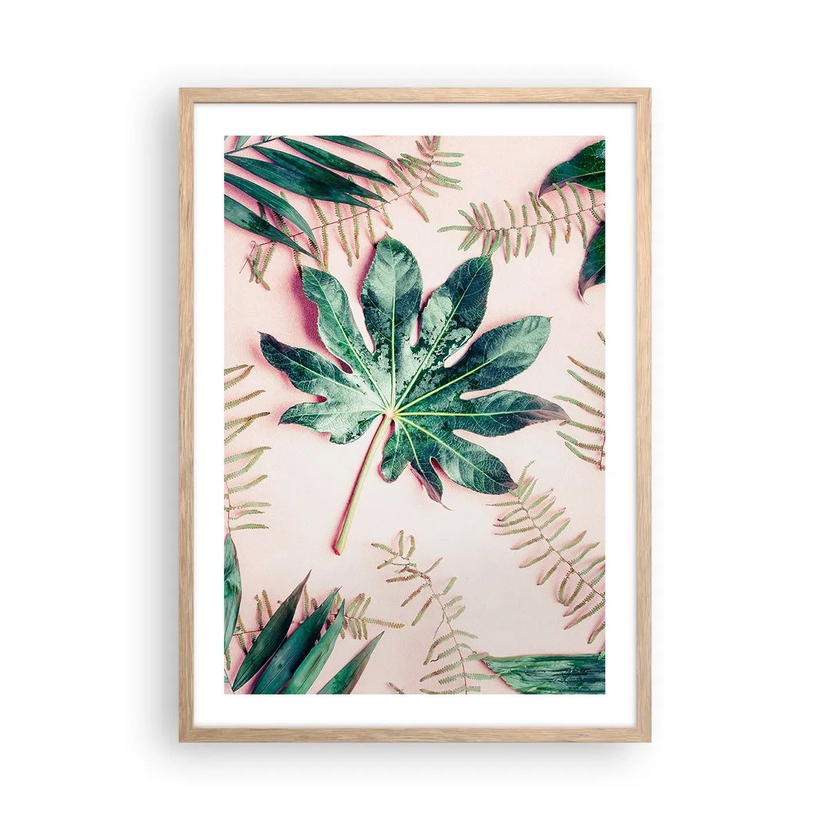 Poster în ramă de stejar deschis - Studiu de verdeață pe un fundal roz - 50x70 cm