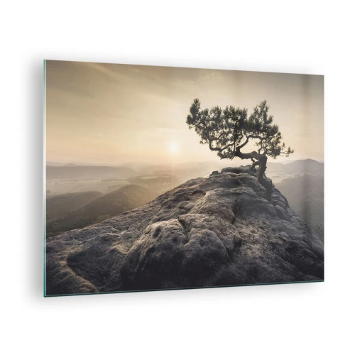 Tablou pe sticlă - Un copac pe o stâncă în lumina soarelui care răsare - 70x50cm - Viața învinge întotdeauna - Decorațiune modernă pentru perete pentru living și dormitor ARTTOR
