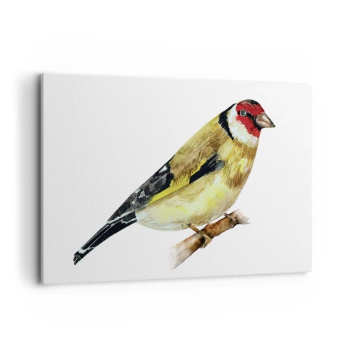 Tablou pe pânză - Portret de pasăre - 120x80 cm