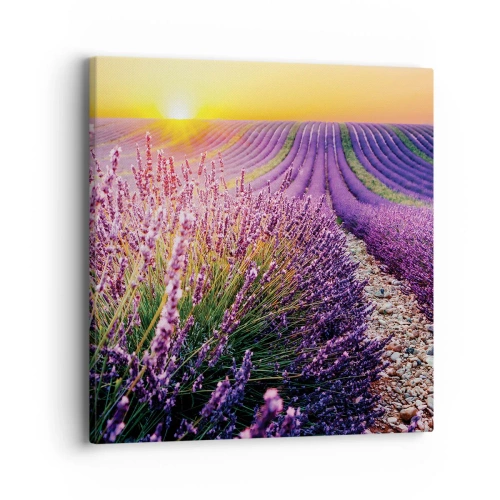 Tablou pe pânză - Câmpul parfumat - 40x40 cm