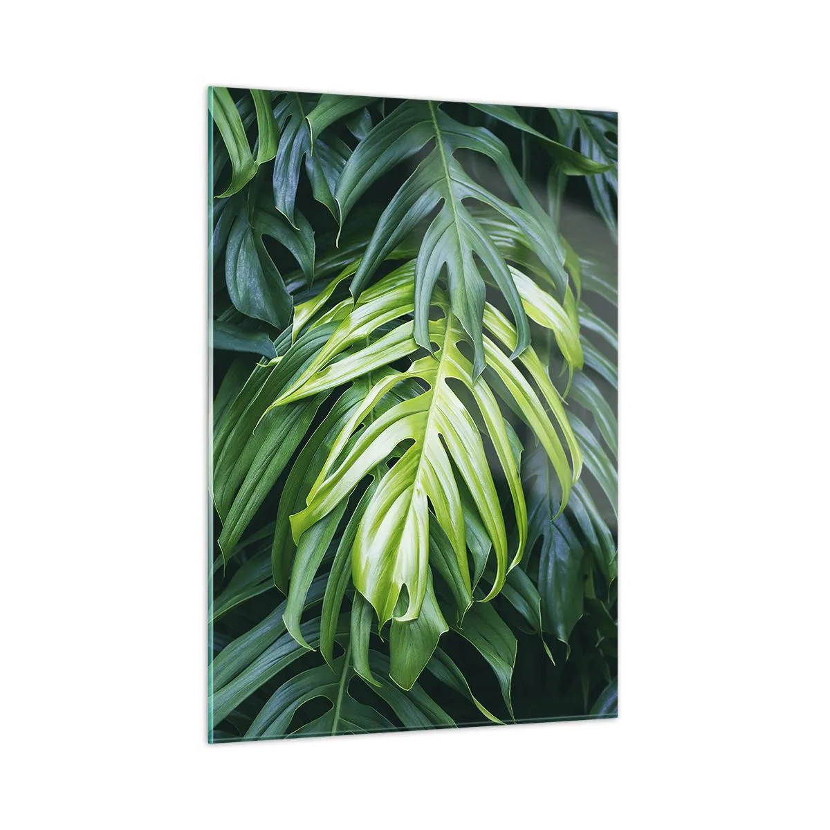 Tablou pe sticlă - Scufundă-te în prospețime - 50x70 cm