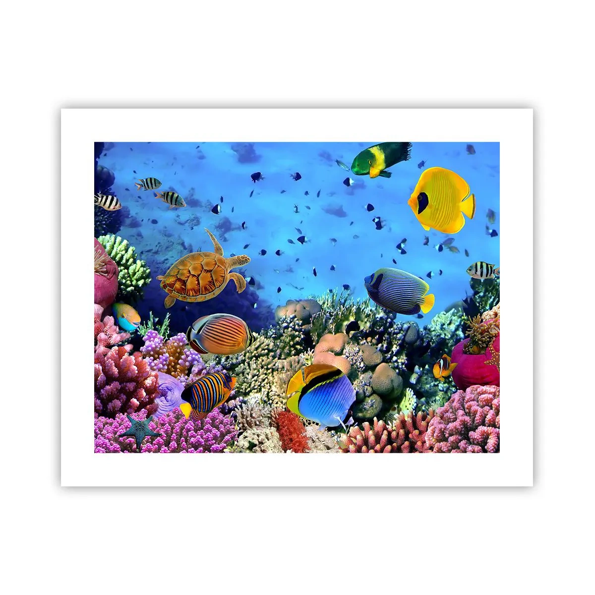 Poster - Și ce știm noi despre viață... - 50x40 cm