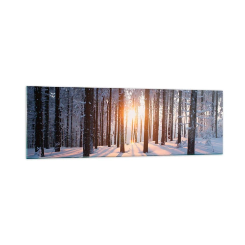 Tablou pe sticlă - În mod clar în alb și negru - 160x50 cm