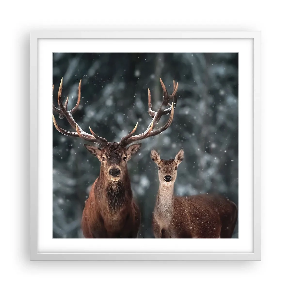 Poster în ramă albă - Stăpânul pădurii și soția sa - 50x50 cm