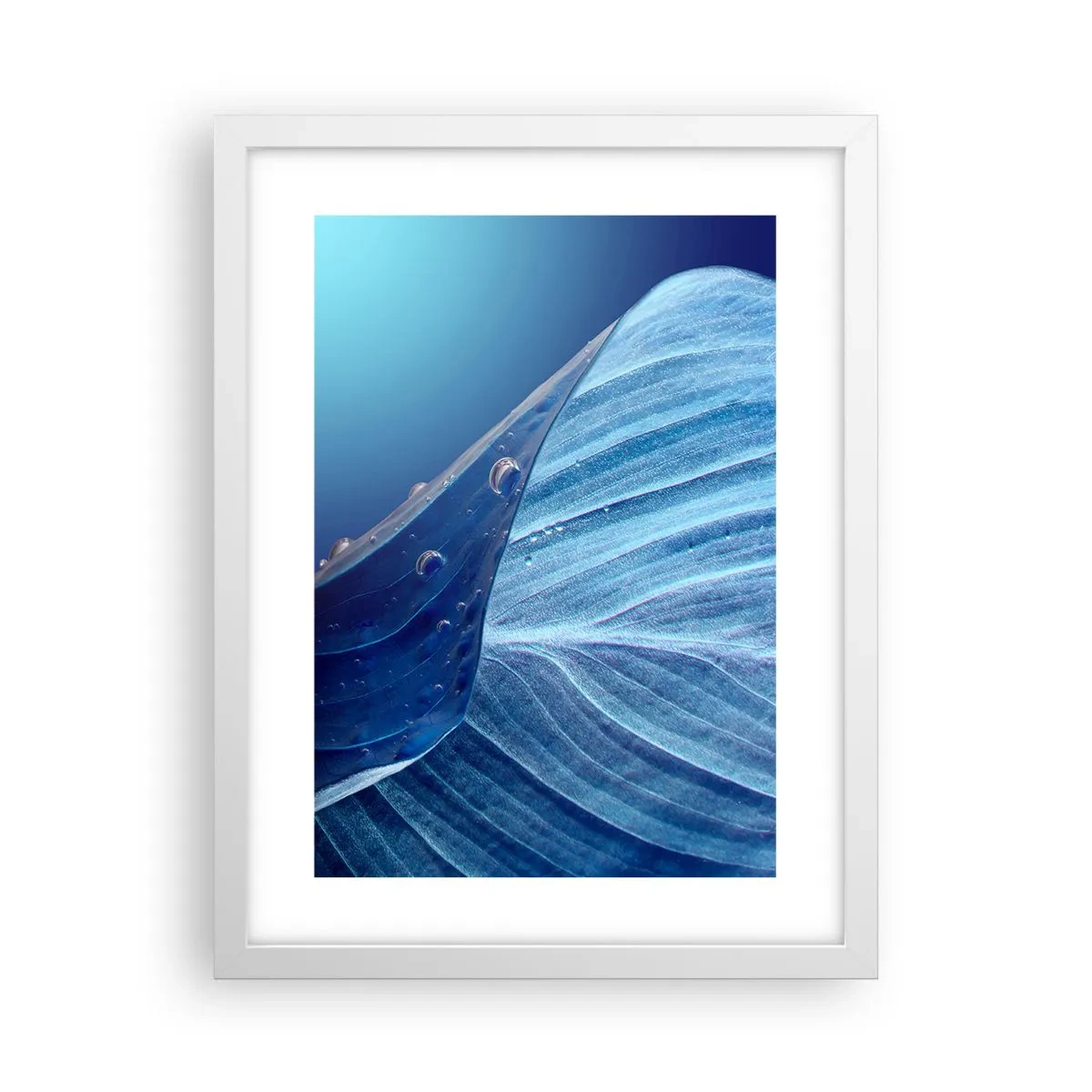 Poster în ramă albă - Picături ascunse de albastru - 30x40 cm