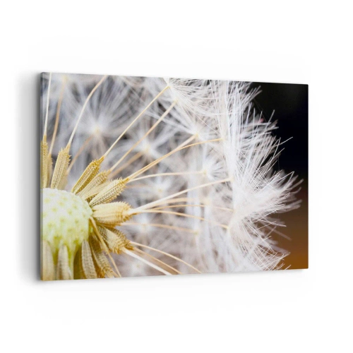 Tablou pe pânză - Chiar înainte de zbor... - 120x80 cm