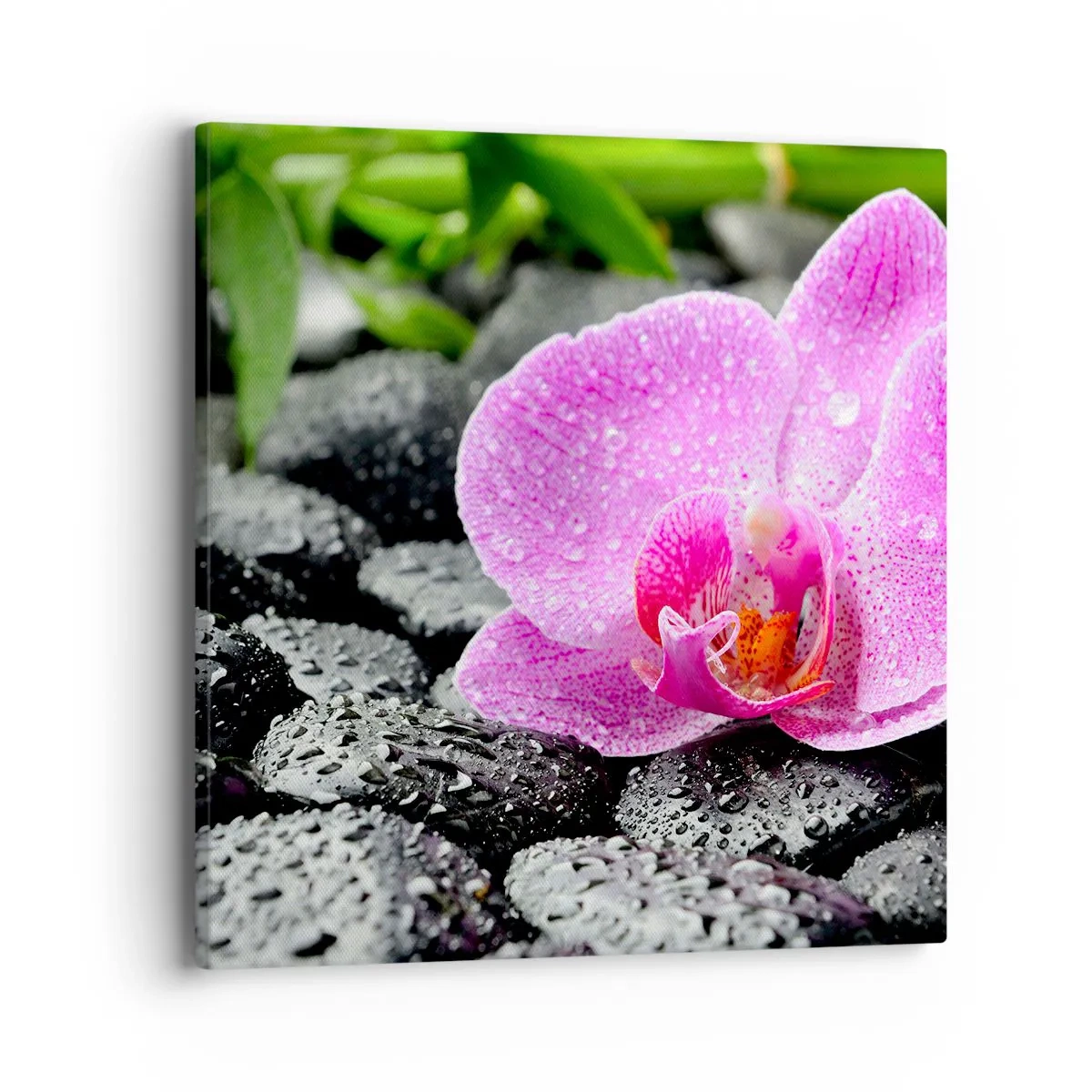 Tablou pe pânză - Ca o inimă deschisă - 40x40 cm