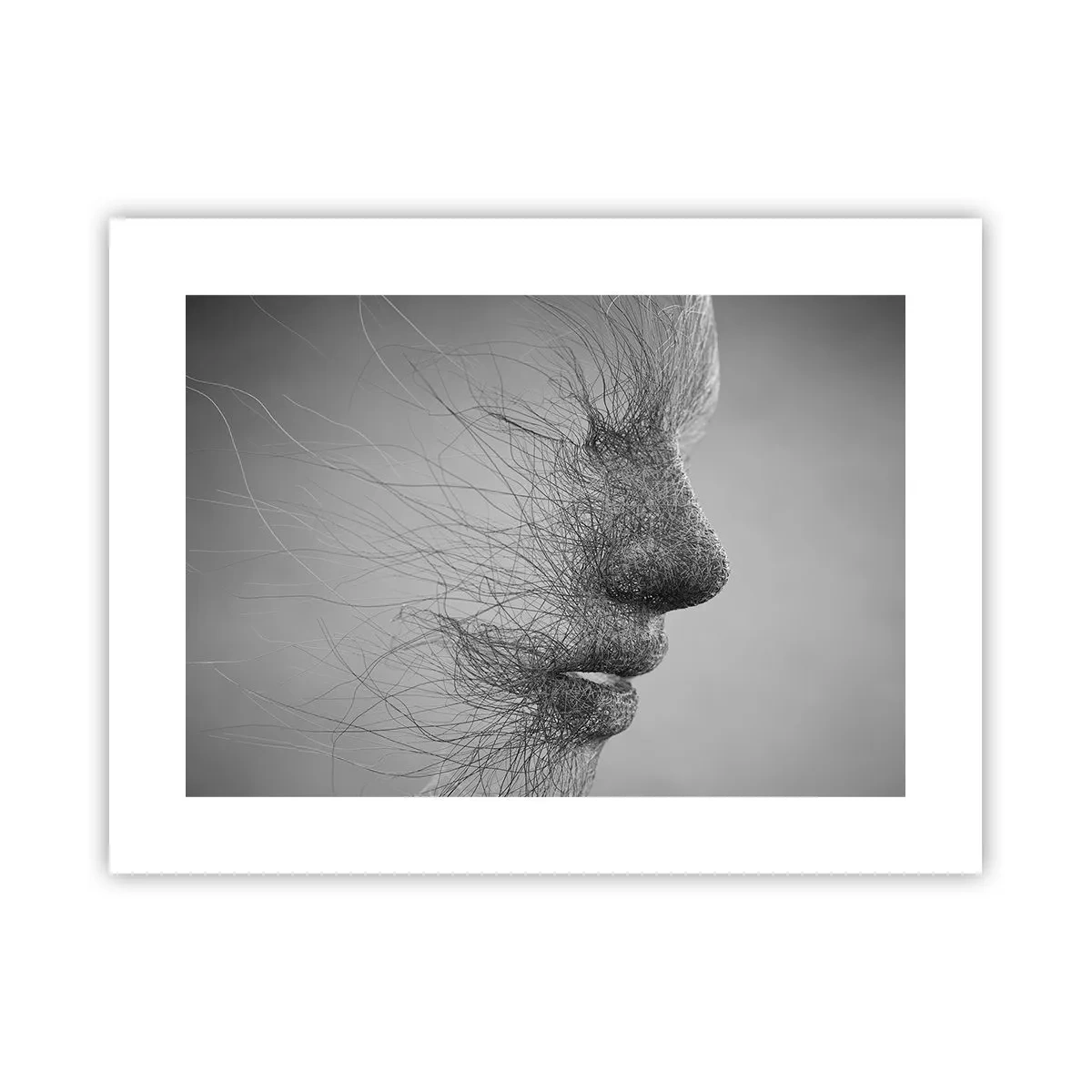 Poster - Spiritul vântului - 40x30 cm