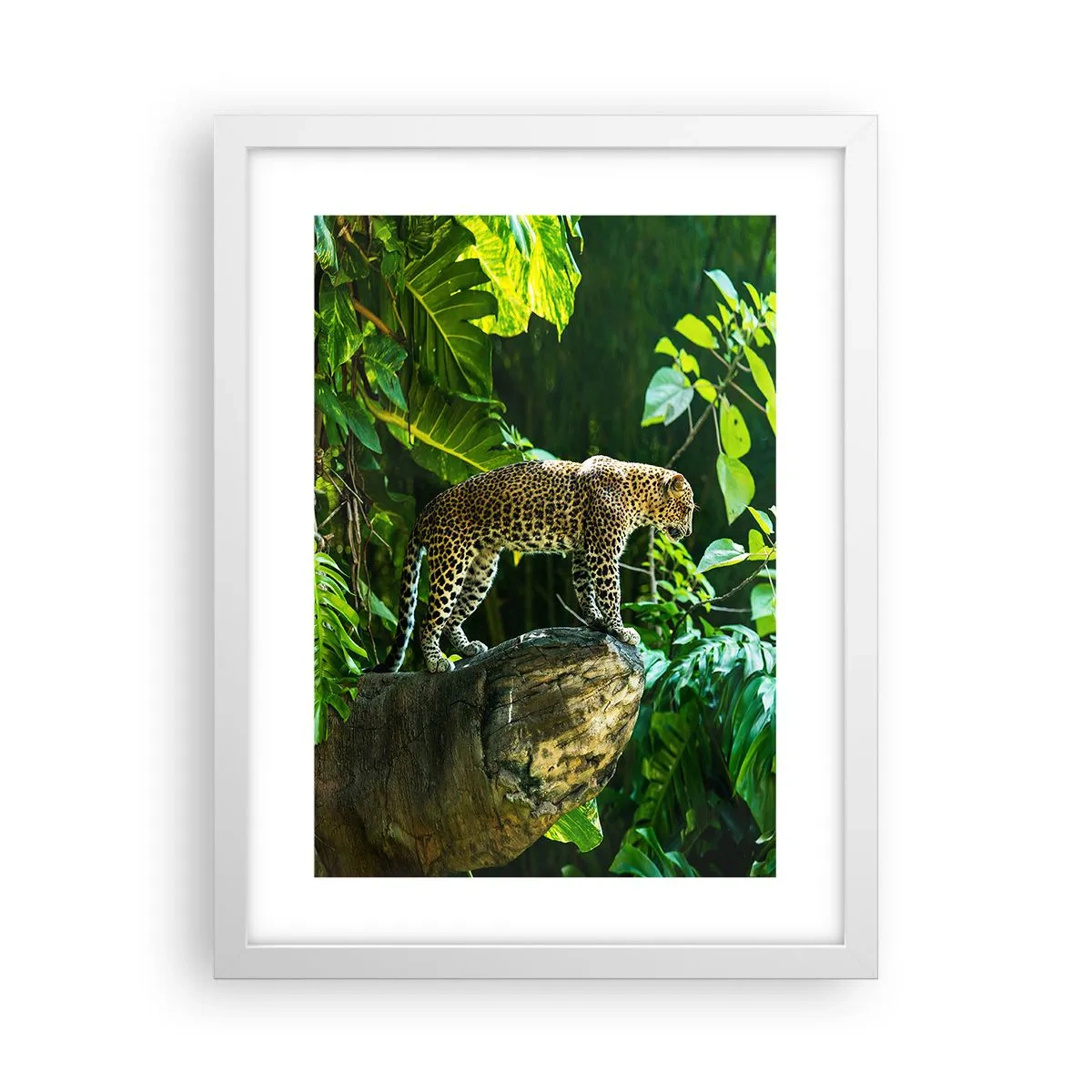 Poster în ramă albă - La vânătoare? - 30x40 cm