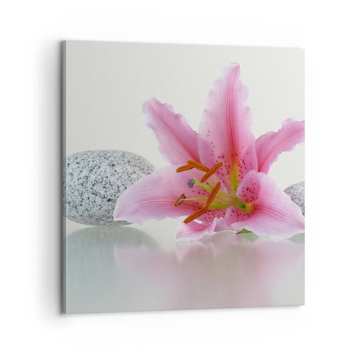 Tablou pe pânză - Studiu în roz, gri și alb - 60x60 cm