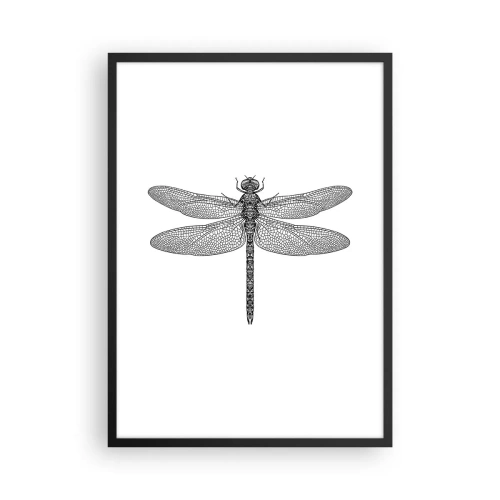Poster în ramă neagră - Ilustrație alb-negru a unei libelule pe fundal alb - 50x70cm - Precizia naturii - Decorațiune modernă pentru perete pentru living și dormitor ARTTOR