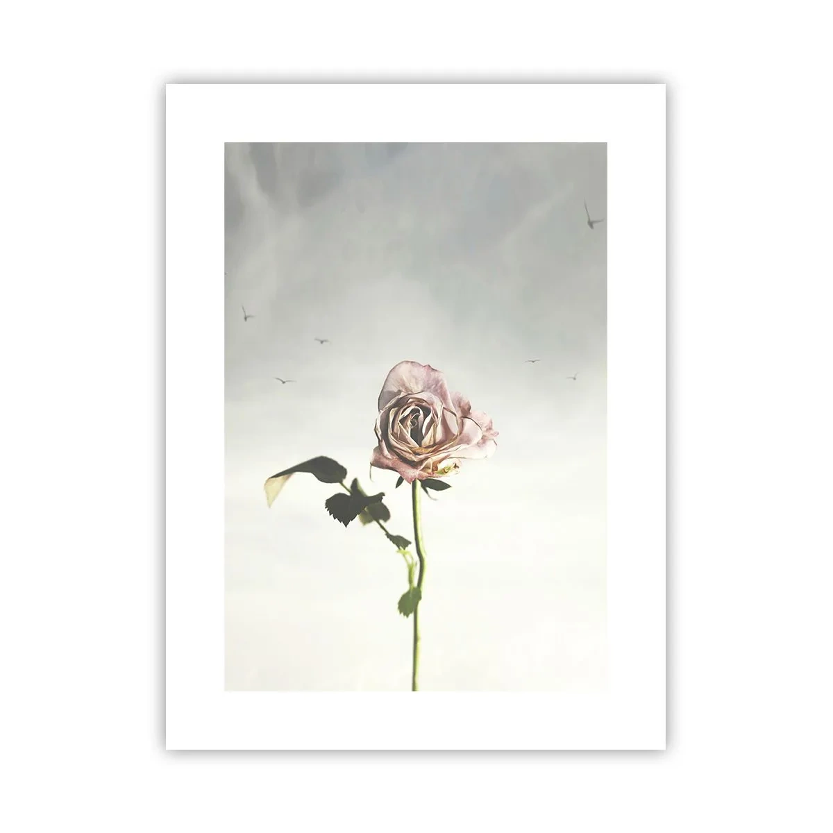 Poster - Primăvara binevenită - 30x40 cm