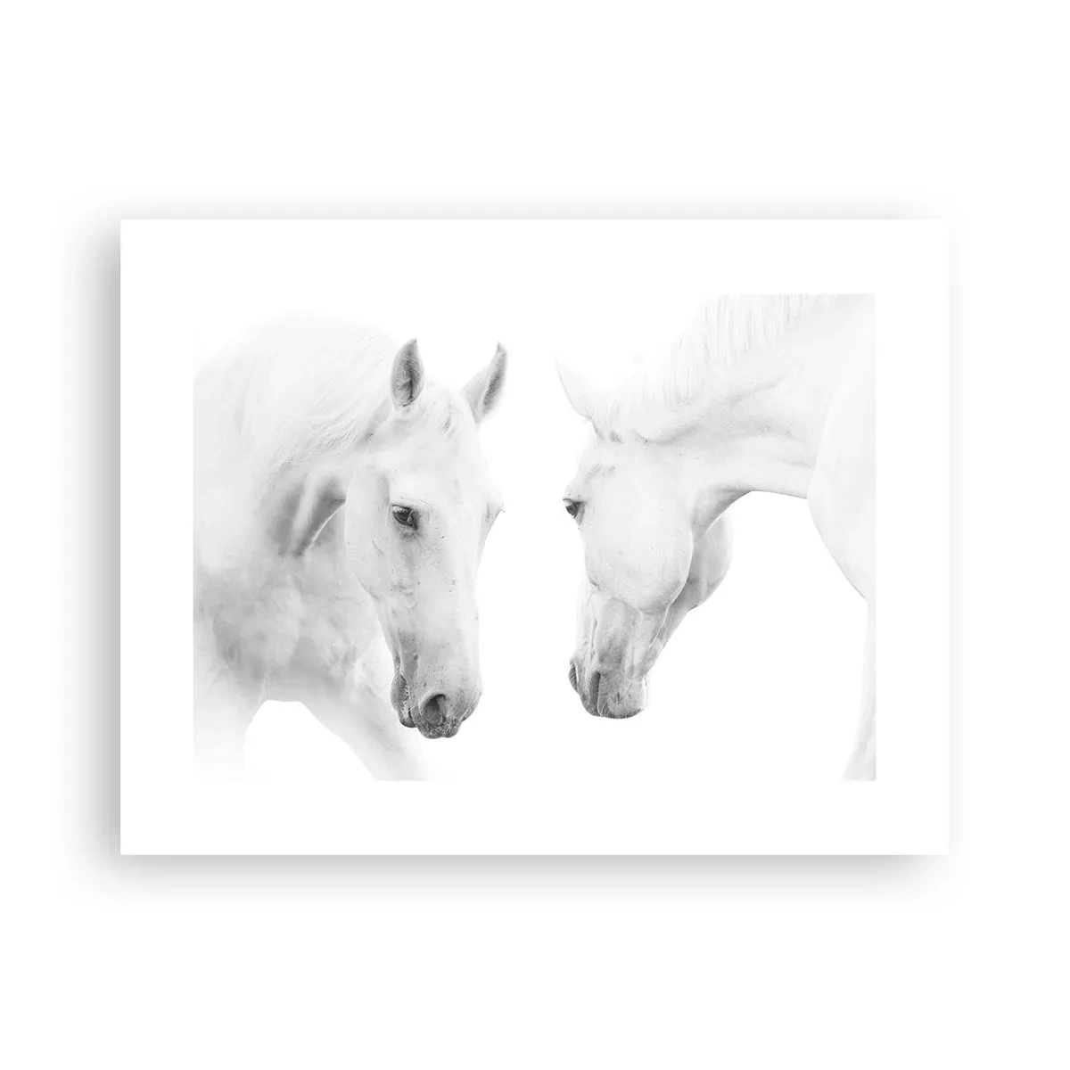 Poster - Este aceasta o prietenie...? - 40x30 cm