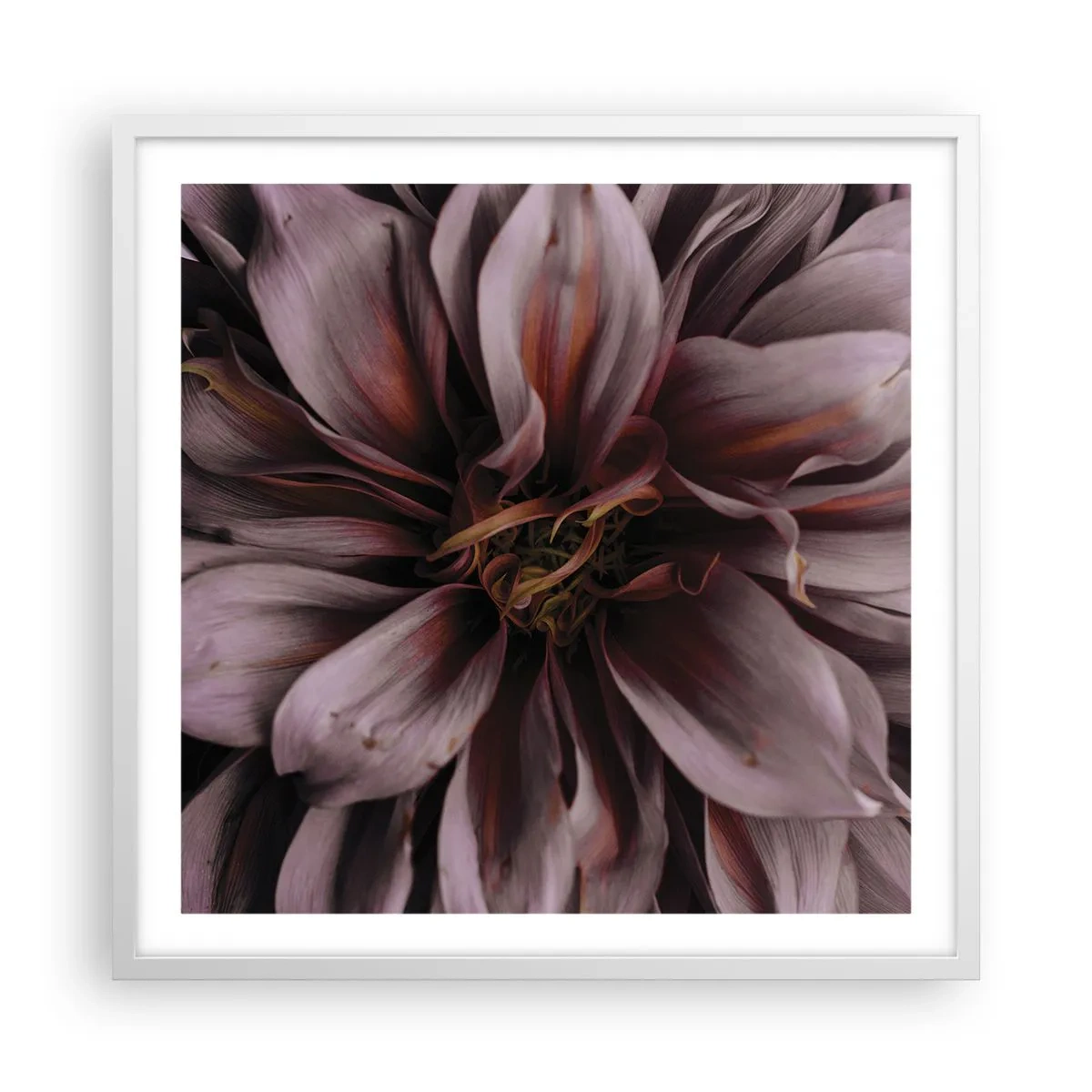 Poster în ramă albă - Inimă florală - 60x60 cm