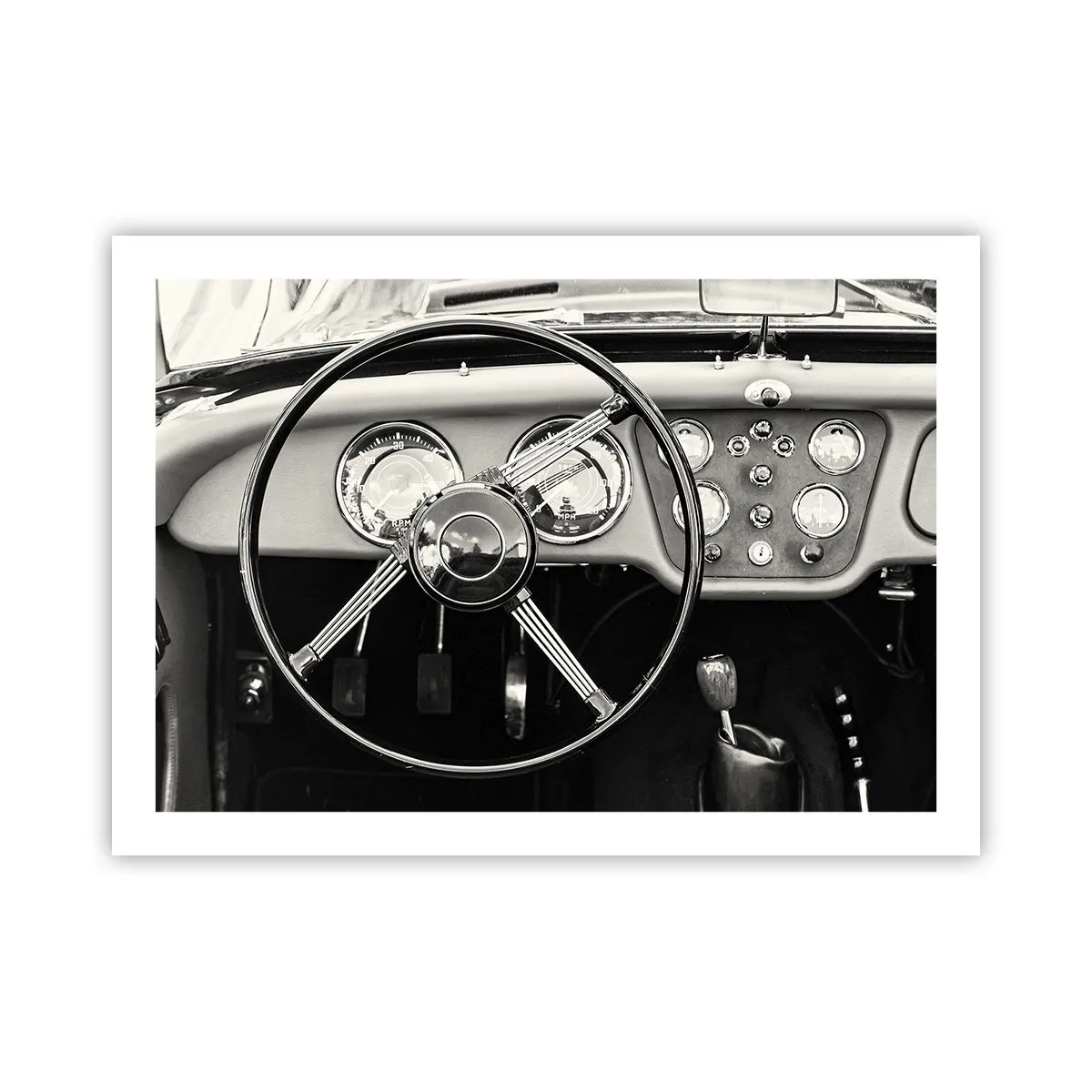 Poster - Visul unui colecționar - 70x50 cm