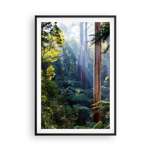 Poster în ramă neagră - O poveste din pădure - 61x91 cm