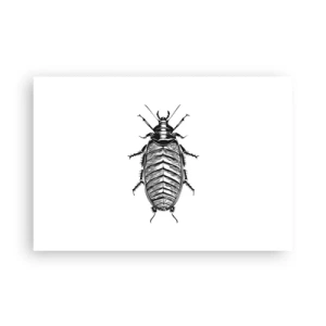 Poster - Ce specimen! - 91x61 cm