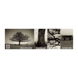 Mostră de Tapet Standard Eco - De aici până în veșnicie - Peisaj, Copac, Natură - 100x30 cm